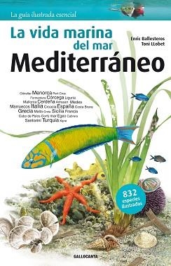 LA VIDA MARINA DEL MAR MEDITERRÁNEO | 9788415885269 | BALLESTEROS SAGARRA,ENRIC | Llibreria Geli - Llibreria Online de Girona - Comprar llibres en català i castellà