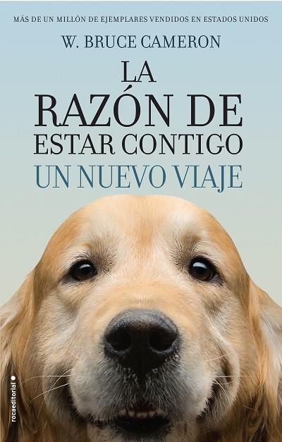 LA RAZÓN DE ESTAR CONTIGO.UN NUEVO VIAJE | 9788416867912 | CAMERON,W. BRUCE | Llibreria Geli - Llibreria Online de Girona - Comprar llibres en català i castellà