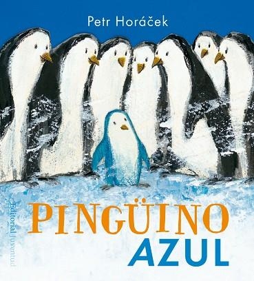 PINGüINO AZUL | 9788426142351 | HORÁCEK,PETR | Llibreria Geli - Llibreria Online de Girona - Comprar llibres en català i castellà