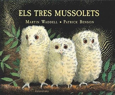 ELS TRES MUSSOLETS | 9788416804191 | WADDELL,MARTIN/BENSON,PATRICK | Llibreria Geli - Llibreria Online de Girona - Comprar llibres en català i castellà