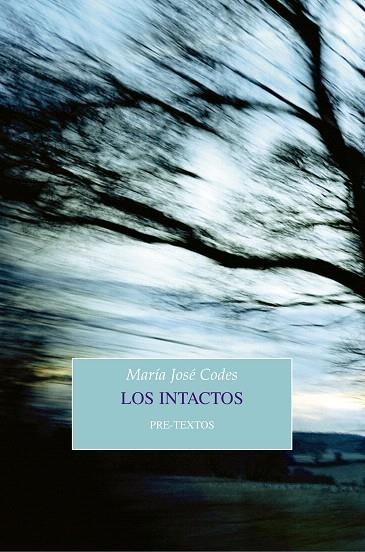 LOS INTACTOS | 9788417143015 | CODES,MARÍA JOSÉ | Llibreria Geli - Llibreria Online de Girona - Comprar llibres en català i castellà