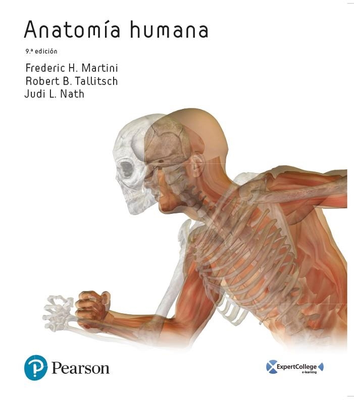 ANATOMÍA HUMANA(9ª EDICION 2017) | 9788490355657 | MARTINI,FREDERIC | Llibreria Geli - Llibreria Online de Girona - Comprar llibres en català i castellà