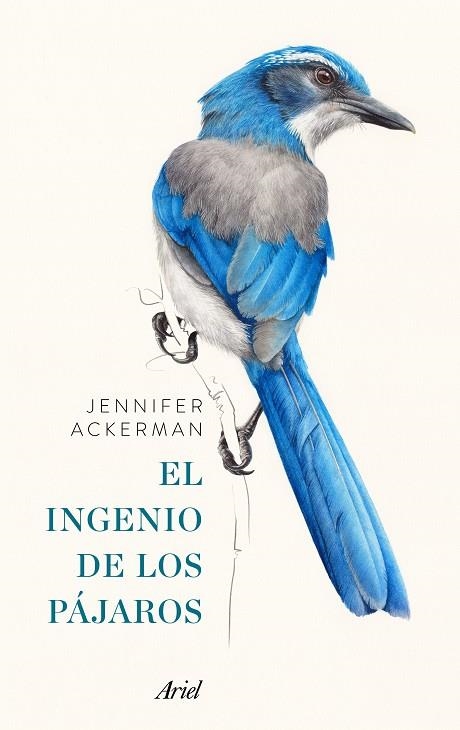 EL INGENIO DE LOS PÁJAROS(PACK) | 9788434427167 | ACKERMAN,JENNIFER | Llibreria Geli - Llibreria Online de Girona - Comprar llibres en català i castellà