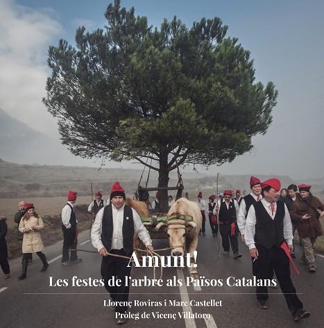 AMUNT! LES FESTES DE L'ARBRE ALS PAÏSOS CATALANS | 9788494748400 | ROVIRAS,LLORENÇ | Llibreria Geli - Llibreria Online de Girona - Comprar llibres en català i castellà