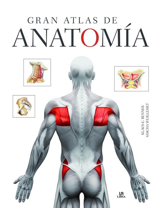 GRAN ATLAS DE ANATOMíA | 9788466236713 | BENNER,KLAUS-U./WUILLEMET,SASCHA | Llibreria Geli - Llibreria Online de Girona - Comprar llibres en català i castellà