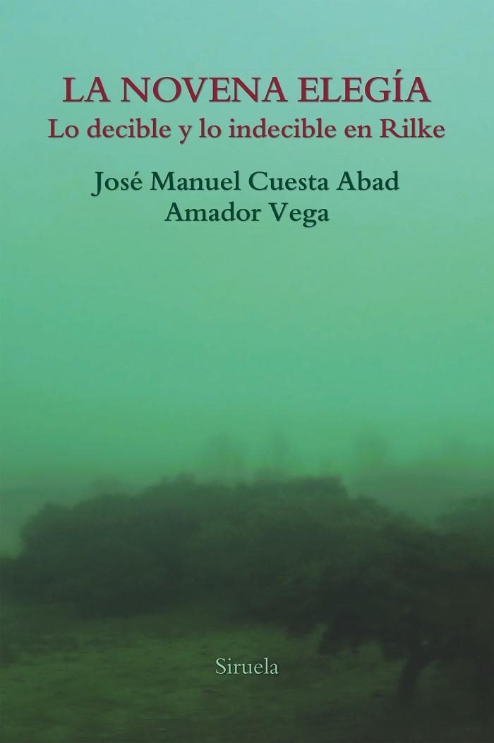 LA NOVENA ELEGÍA.LO DECIBLE Y LO INDECIBLE EN RILKE | 9788417151997 | VEGA,AMADOR/CUESTA ABAD,JOSÉ MANUEL | Llibreria Geli - Llibreria Online de Girona - Comprar llibres en català i castellà