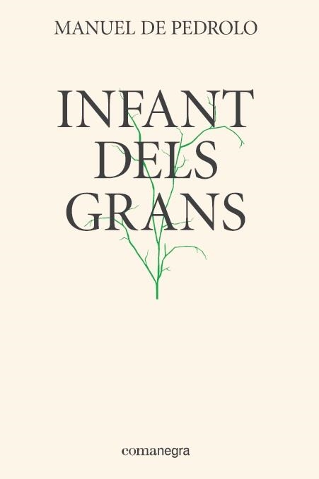 INFANT DELS GRANS | 9788417188337 | DE PEDROLO,MANUEL | Llibreria Geli - Llibreria Online de Girona - Comprar llibres en català i castellà