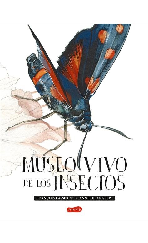 MUSEO VIVO DE LOS INSECTOS | 9788417222123 | LASSERRE,FRANÇOIS | Llibreria Geli - Llibreria Online de Girona - Comprar llibres en català i castellà