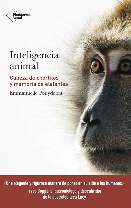 INTELIGENCIA ANIMAL | 9788417114947 | POUYDEBAT,EMMANUELLE | Llibreria Geli - Llibreria Online de Girona - Comprar llibres en català i castellà