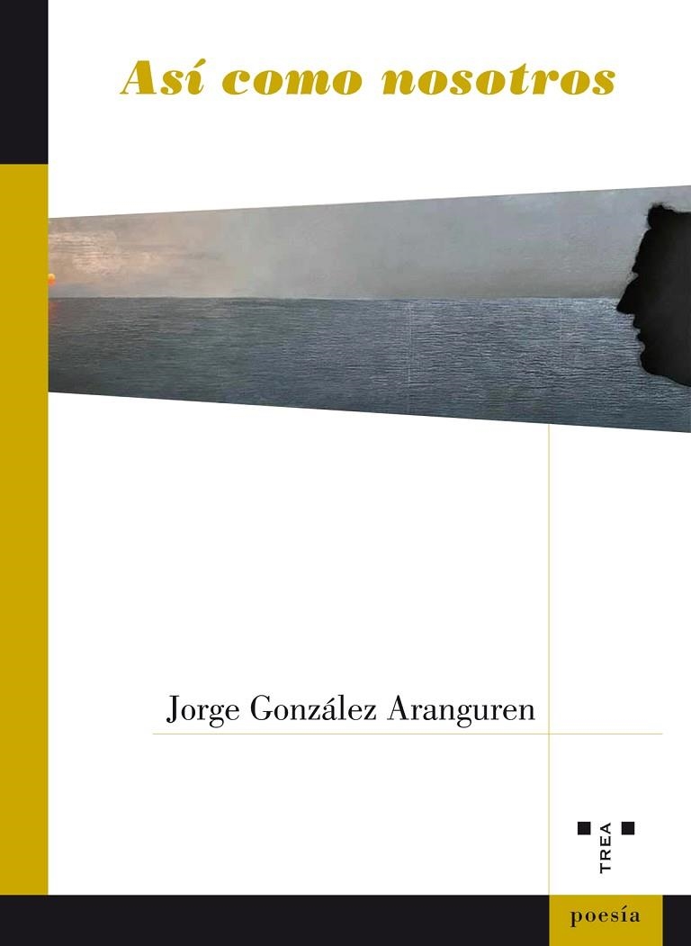 ASí COMO NOSOTROS | 9788417140427 | GONZÁLEZ ARANGUREN,JORGE | Llibreria Geli - Llibreria Online de Girona - Comprar llibres en català i castellà