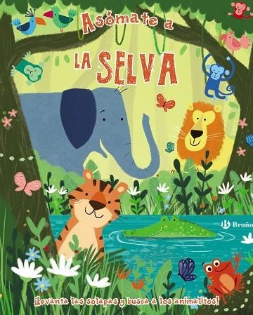 ASóMATE A LA SELVA | 9788469622841 | V.V.A.A. | Llibreria Geli - Llibreria Online de Girona - Comprar llibres en català i castellà