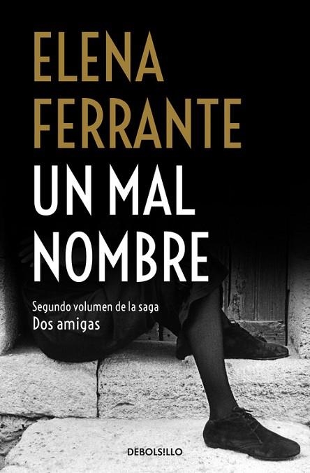 UN MAL NOMBRE(DOS AMIGAS 2) | 9788466344364 | FERRANTE,ELENA | Llibreria Geli - Llibreria Online de Girona - Comprar llibres en català i castellà