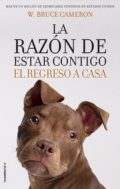 LA RAZÓN DE ESTAR CONTIGO. EL REGRESO A CASA | 9788417092887 | CAMERON,W. BRUCE | Llibreria Geli - Llibreria Online de Girona - Comprar llibres en català i castellà