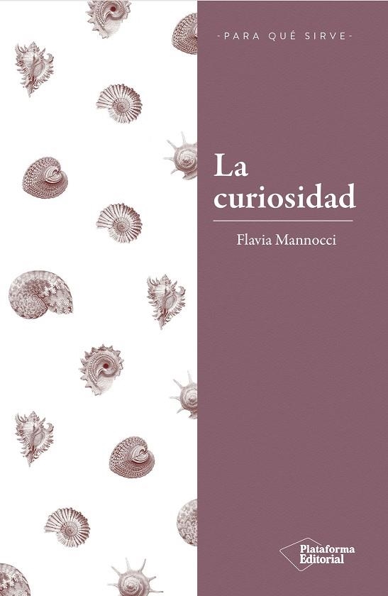 LA CURIOSIDAD | 9788417376260 | MANNOCCI,FLAVIA | Llibreria Geli - Llibreria Online de Girona - Comprar llibres en català i castellà