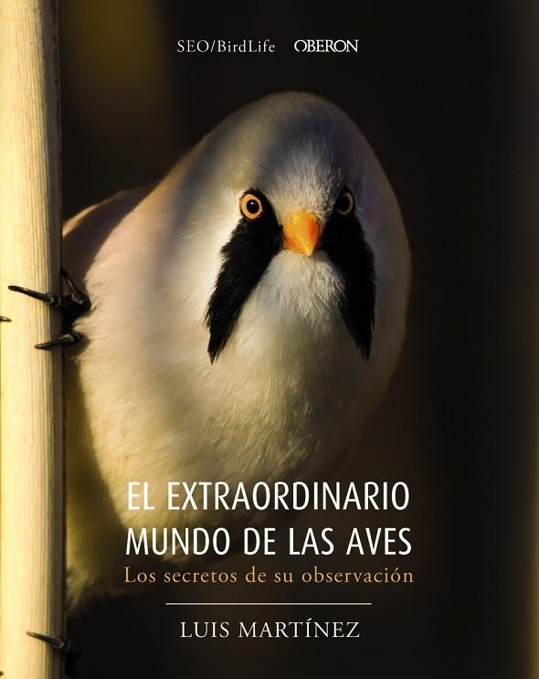 EL EXTRAORDINARIO MUNDO DE LAS AVES. LOS SECRETOS DE SU OBSERVACIÓN | 9788441540330 | SOCIEDAD ESPAÑOLA DE ORNITOLOGÍA | Libreria Geli - Librería Online de Girona - Comprar libros en catalán y castellano