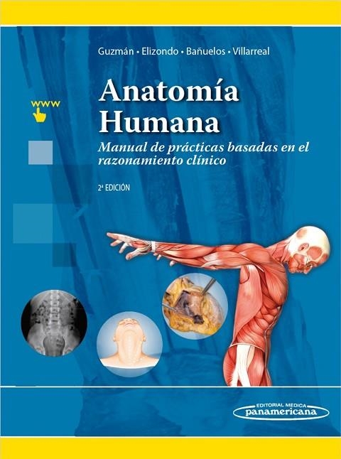 ANATOMÍA HUMANA.MANUAL DE PRÁCTICAS BASADAS EN EL RAZONAMIENTO CLÍNICO(2ª EDICION 2018) | 9786078546152 | GUZMÁN LÓPEZ, SANTOS/ELIZONDO-OMAÑA, RODRIGO E./BAÑUELOS RIZO, MAURICIO/VILLARREAL SILVA, ELIUD ENRI | Llibreria Geli - Llibreria Online de Girona - Comprar llibres en català i castellà