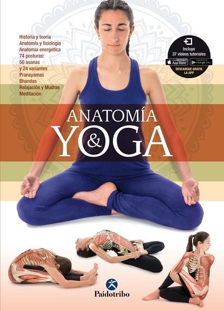 ANATOMÍA & YOGA | 9788499106526 | PATIÑO COLL,MIREIA | Llibreria Geli - Llibreria Online de Girona - Comprar llibres en català i castellà