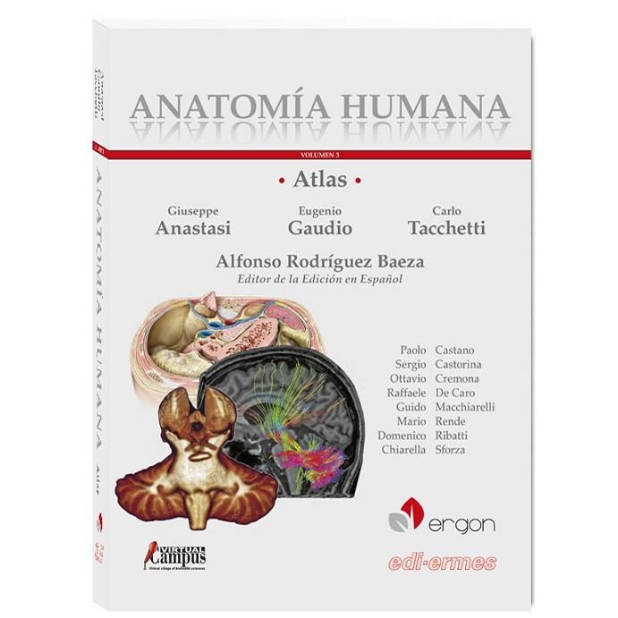 ATLAS DE ANATOMÍA HUMANA-3.ABDOMEN,PELVIS Y PERINÉ.MIEMBRO SUPERIOR.MIEMBRO INFERIOR.SISTEMA NERVIOSO(EDICION 2018) | 9788870515497 | ANASTASI,GIUSEPPE/GAUDIO,EUGENIO | Llibreria Geli - Llibreria Online de Girona - Comprar llibres en català i castellà