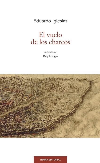 EL VUELO DE LOS CHARCOS | 9788494846519 | IGLESIAS,EDUARDO | Llibreria Geli - Llibreria Online de Girona - Comprar llibres en català i castellà