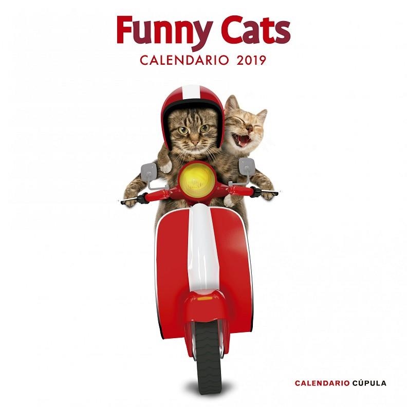 CALENDARIO FUNNY CATS 2019 | 9788448024628 |   | Llibreria Geli - Llibreria Online de Girona - Comprar llibres en català i castellà