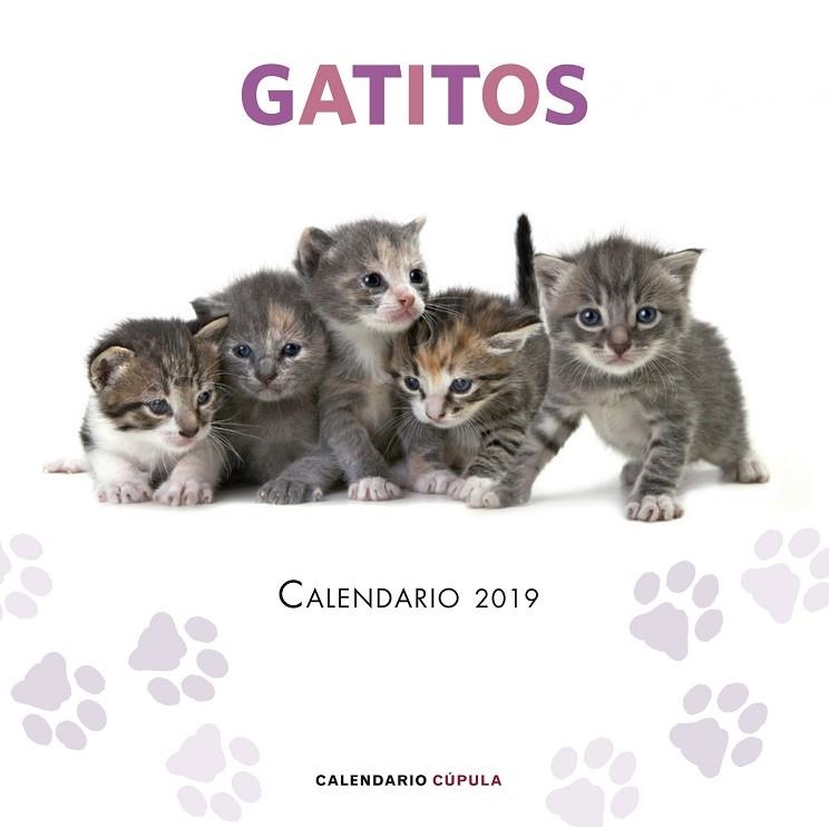 CALENDARIO GATITOS 2019 | 9788448024659 | Llibreria Geli - Llibreria Online de Girona - Comprar llibres en català i castellà