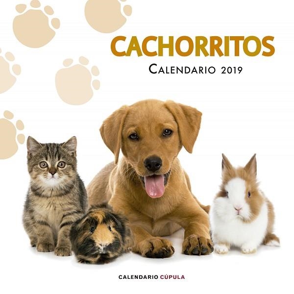 CALENDARIO CACHORRITOS 2019 | 9788448024673 | Llibreria Geli - Llibreria Online de Girona - Comprar llibres en català i castellà