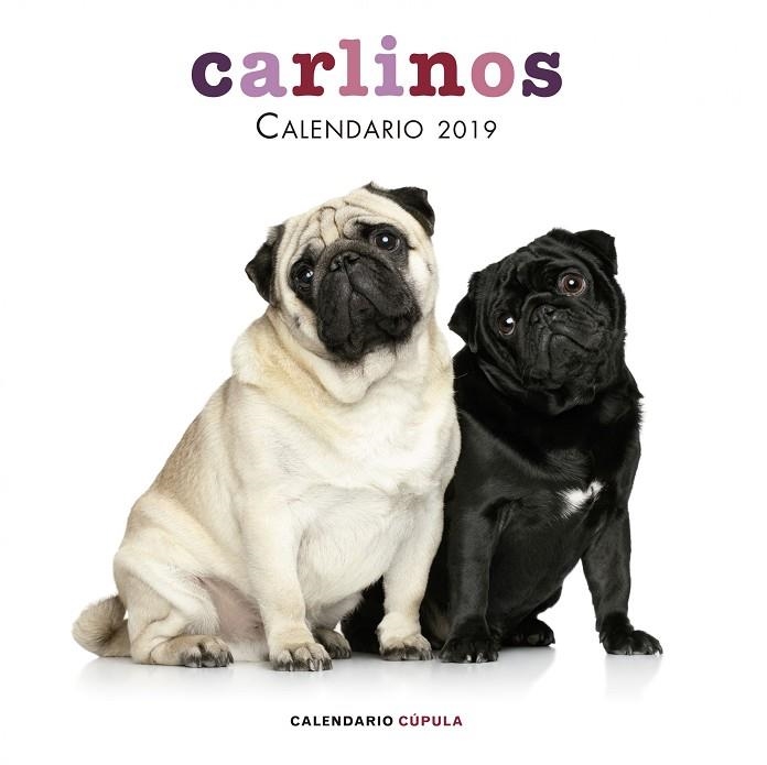 CALENDARIO CARLINOS 2019 | 9788448024680 |   | Llibreria Geli - Llibreria Online de Girona - Comprar llibres en català i castellà