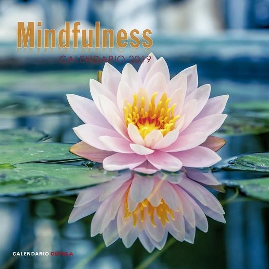 CALENDARIO MINDFULNESS 2019 | 9788448024598 |   | Llibreria Geli - Llibreria Online de Girona - Comprar llibres en català i castellà