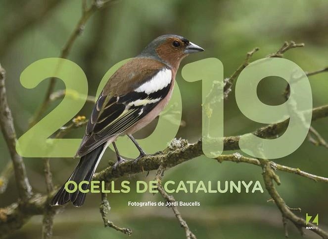 OCELLS DE CATALUNYA(CALENDARI 2019) | 9788409035465 | Llibreria Geli - Llibreria Online de Girona - Comprar llibres en català i castellà