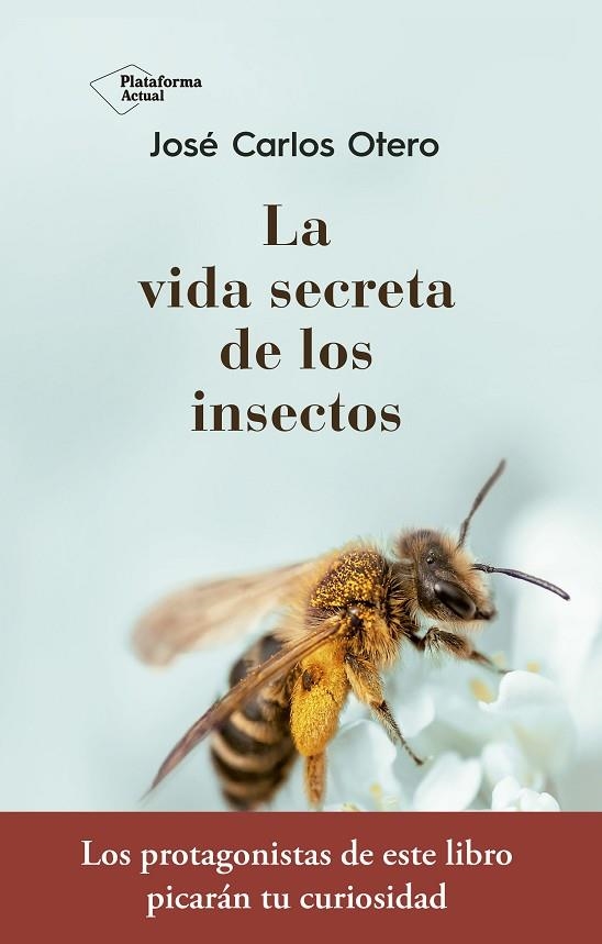 LA VIDA SECRETA DE LOS INSECTOS | 9788417376789 | OTERO GONZÁLEZ,JOSÉ CARLOS | Llibreria Geli - Llibreria Online de Girona - Comprar llibres en català i castellà