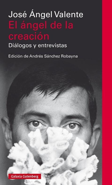 EL ÁNGEL DE LA CREACIÓN.DIÁLOGOS Y ENTREVISTAS | 9788417355708 | VALENTE,JOSÉ ÁNGEL | Llibreria Geli - Llibreria Online de Girona - Comprar llibres en català i castellà