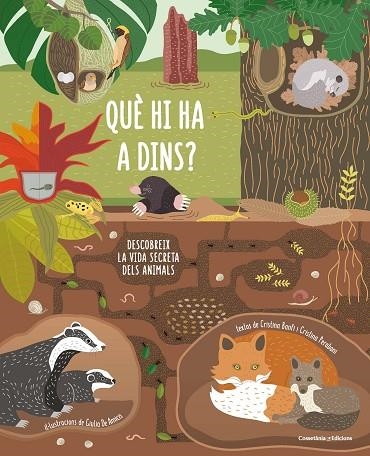 QUÈ HI HA A DINS? DESCOBREIX LA VIDA SECRETA DELS ANIMALS | 9788490347607 | BANFI BANFI,CRISTINA/PERABONI PERABONI,CRISTINA | Llibreria Geli - Llibreria Online de Girona - Comprar llibres en català i castellà