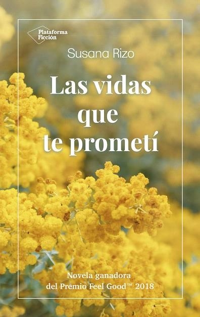 LAS VIDAS QUE TE PROMETÍ | 9788417622022 | RIZO,SUSANA | Llibreria Geli - Llibreria Online de Girona - Comprar llibres en català i castellà