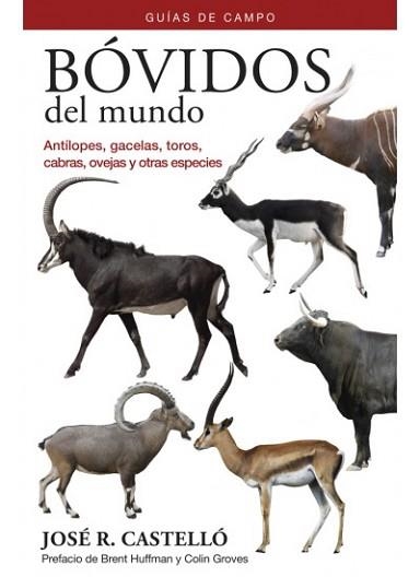 BÓVIDOS DEL MUNDO | 9788428216838 | CASTELLÓ,JOSÉ R. | Llibreria Geli - Llibreria Online de Girona - Comprar llibres en català i castellà