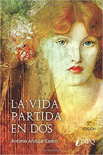 LA VIDA PARTIDA EN DOS | 9788494662751 | ANDUJAR CASTRO,ANTONIO | Llibreria Geli - Llibreria Online de Girona - Comprar llibres en català i castellà