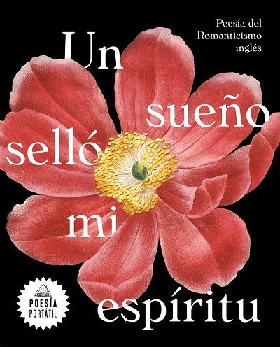 UN SUEÑO SELLÓ MI ESPÍRITU | 9788439735328 | A.A.D.D. | Llibreria Geli - Llibreria Online de Girona - Comprar llibres en català i castellà