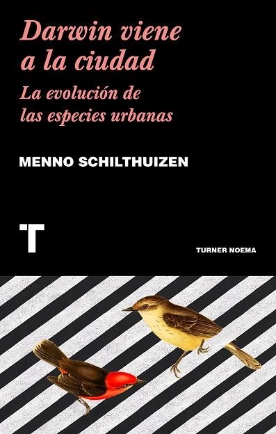 DARWIN VIENE A LA CIUDAD | 9788417141752 | SCHILTHUIZEN,MENNO | Llibreria Geli - Llibreria Online de Girona - Comprar llibres en català i castellà