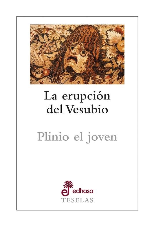 LA ERUPCIÓN DEL VESUBIO | 9788435023191 | PLINIO EL JOVEN | Llibreria Geli - Llibreria Online de Girona - Comprar llibres en català i castellà