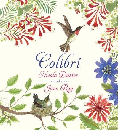 COLIBRÍ | 9788494755521 | DAVIES,NICOLA | Llibreria Geli - Llibreria Online de Girona - Comprar llibres en català i castellà