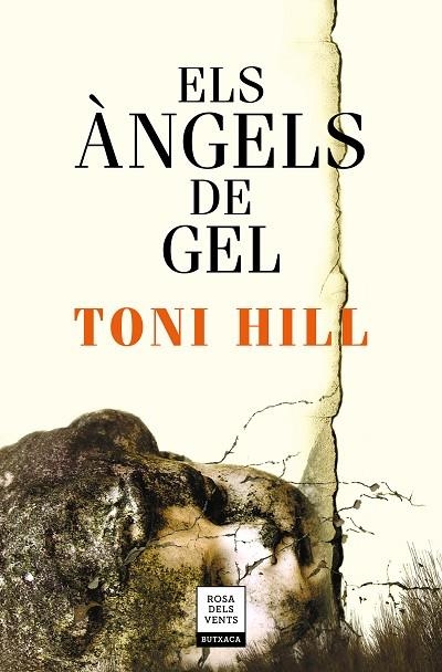 ELS ÀNGELS DE GEL | 9788417444679 | HILL,TONI | Llibreria Geli - Llibreria Online de Girona - Comprar llibres en català i castellà