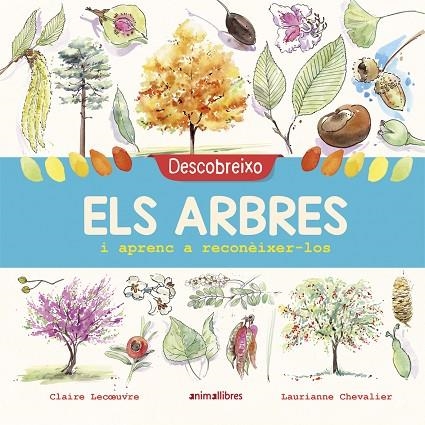 DESCOBREIXO ELS ARBRES I APRENC A RECONÈIXER-LOS | 9788417599195 | LECOEUVRE,CLAIRE | Libreria Geli - Librería Online de Girona - Comprar libros en catalán y castellano