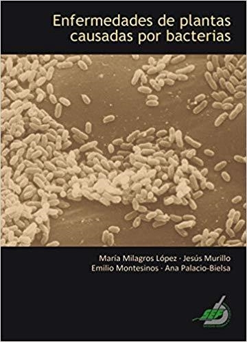 ENFERMEDADES DE PLANTAS CAUSADAS POR BACTERIAS | 9788468533025 | PALACIO BIELSA,ANA | Llibreria Geli - Llibreria Online de Girona - Comprar llibres en català i castellà