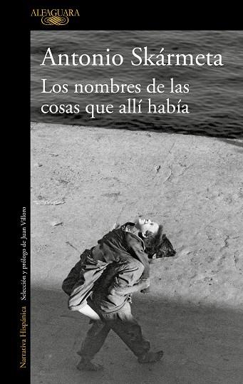 LOS NOMBRES DE LAS COSAS QUE ALLÍ HABÍA | 9788420435947 | SKÁRMETA,ANTONIO | Llibreria Geli - Llibreria Online de Girona - Comprar llibres en català i castellà