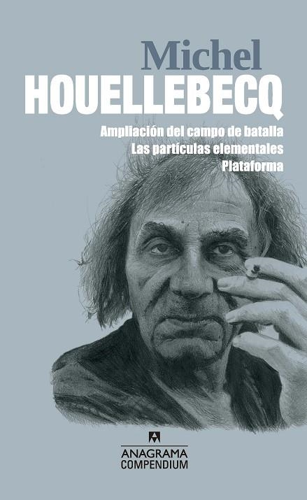 AMPLIACIÓN DEL CAMPO DE BATALLA/LAS PARTÍCULAS ELEMENTALES/PLATAFORMA | 9788433959638 | HOUELLEBECQ,MICHEL | Llibreria Geli - Llibreria Online de Girona - Comprar llibres en català i castellà