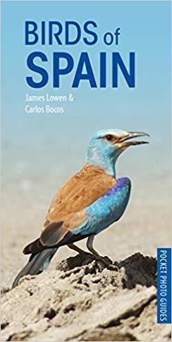 BIRDS OF SPAIN | 9781472949271 | LOWEN,JAMES/BOCOS,CARLOS | Libreria Geli - Librería Online de Girona - Comprar libros en catalán y castellano