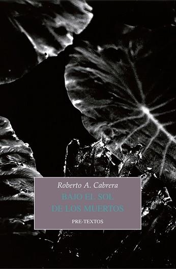 BAJO EL SOL DE LOS MUERTOS | 9788417830274 | CABRERA,ROBERTO A. | Llibreria Geli - Llibreria Online de Girona - Comprar llibres en català i castellà