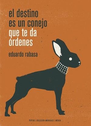 EL DESTINO ES UN CONEJO QUE TE DA ÓRDENES | 9788417386498 | RABASA SALINAS,EDUARDO | Llibreria Geli - Llibreria Online de Girona - Comprar llibres en català i castellà