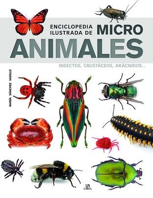 ENCICLOPEDIA ILUSTRADA DE MICRO ANIMALES | 9788466239011 | SÁNCHEZ VADILLO,MARÍA | Llibreria Geli - Llibreria Online de Girona - Comprar llibres en català i castellà