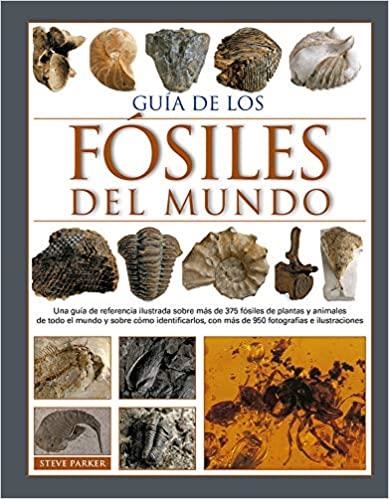 GUIA DE LOS FÓSILES DEL MUNDO | 9788428217170 | PARKER,STEVE | Llibreria Geli - Llibreria Online de Girona - Comprar llibres en català i castellà