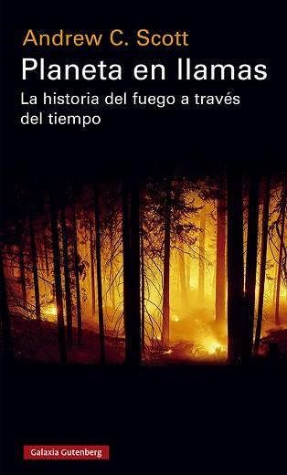 PLANETA EN LLAMAS.LA HISTORIA DEL FUEGO A TRAVÉS DEL TIEMPO | 9788417971588 | SCOTT,ANDREW C. | Llibreria Geli - Llibreria Online de Girona - Comprar llibres en català i castellà